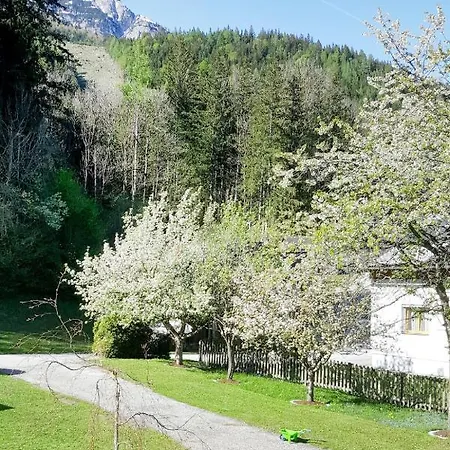 Viola - Obl130 By Interhome Sankt Martin am Grimming